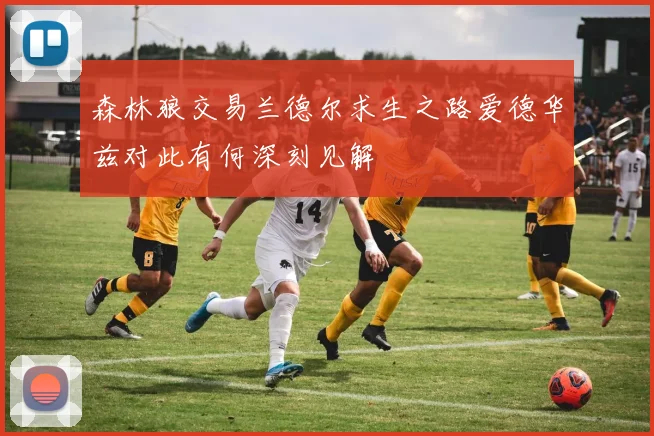 森林狼交易兰德尔求生之路爱德华兹对此有何深刻见解