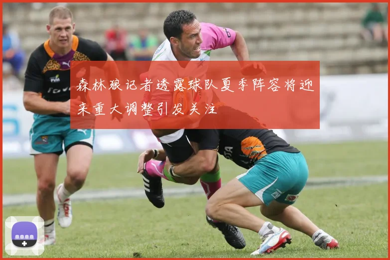 森林狼记者透露球队夏季阵容将迎来重大调整引发关注